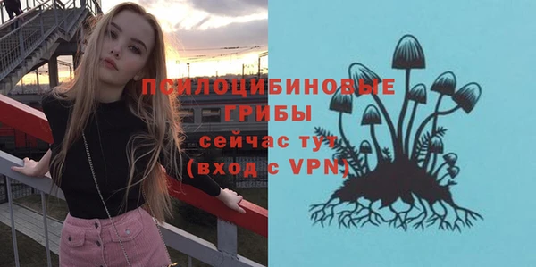 экстази Каменка