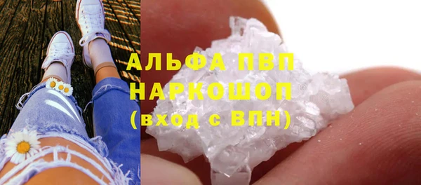 индика Каменногорск