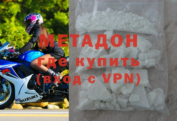 индика Каменногорск