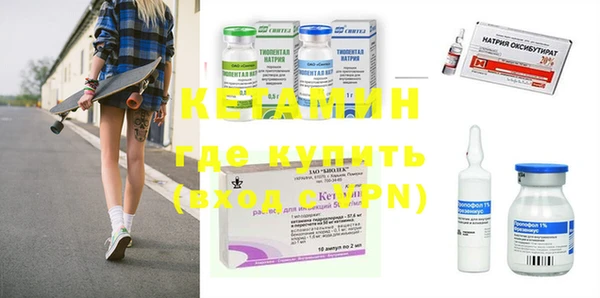 индика Каменногорск