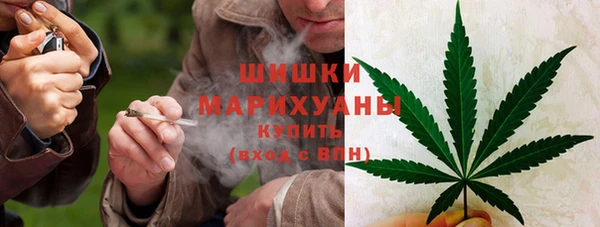индика Каменногорск