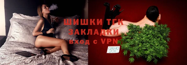 индика Каменногорск
