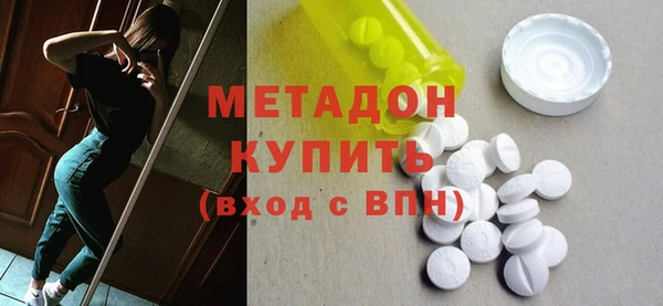 индика Каменногорск
