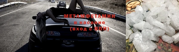 индика Каменногорск