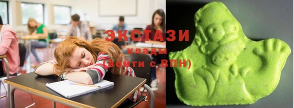 индика Каменногорск
