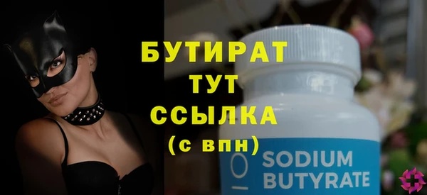 индика Каменногорск