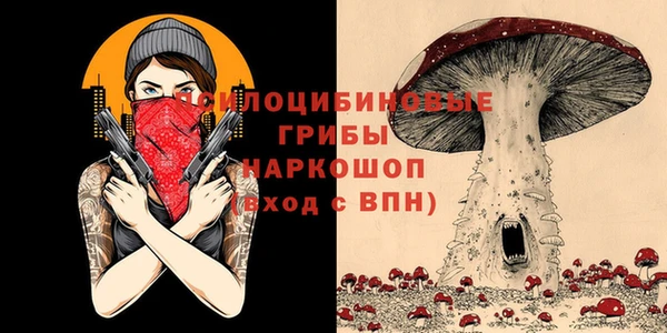 не бодяженный Осинники