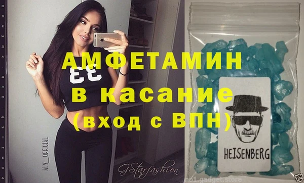 индика Каменногорск
