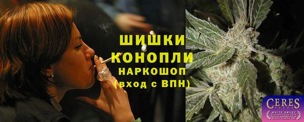 индика Каменногорск