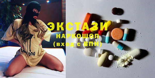 индика Каменногорск