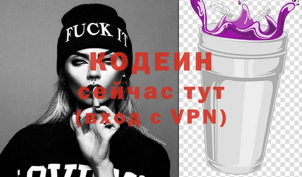 индика Каменногорск
