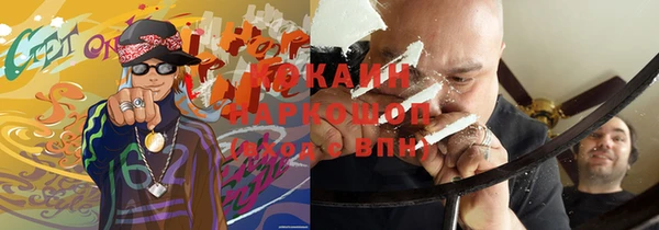 индика Каменногорск