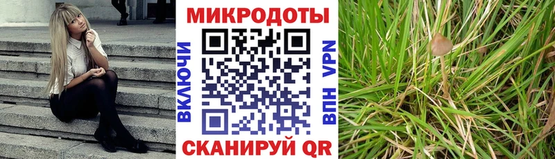 Псилоцибиновые грибы ЛСД Белореченск